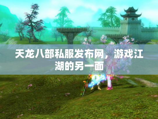 天龙八部私服发布网，游戏江湖的另一面