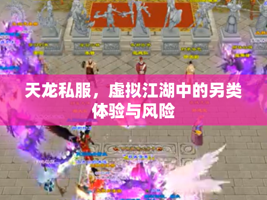 天龙私服，虚拟江湖中的另类体验与风险