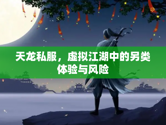 天龙私服，虚拟江湖中的另类体验与风险