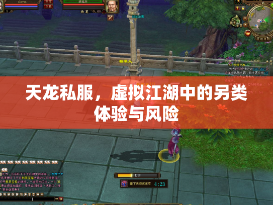 天龙私服，虚拟江湖中的另类体验与风险