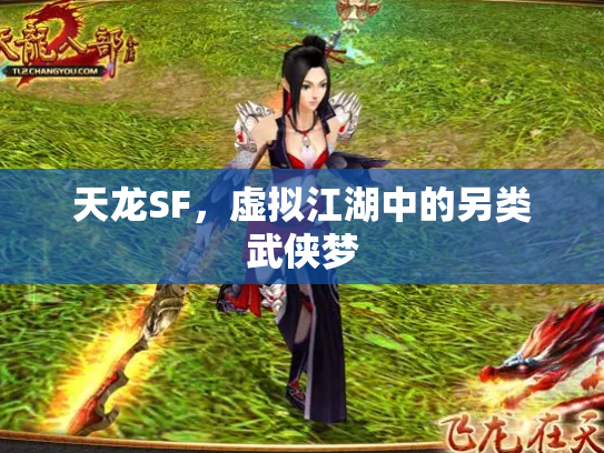 天龙SF，虚拟江湖中的另类武侠梦