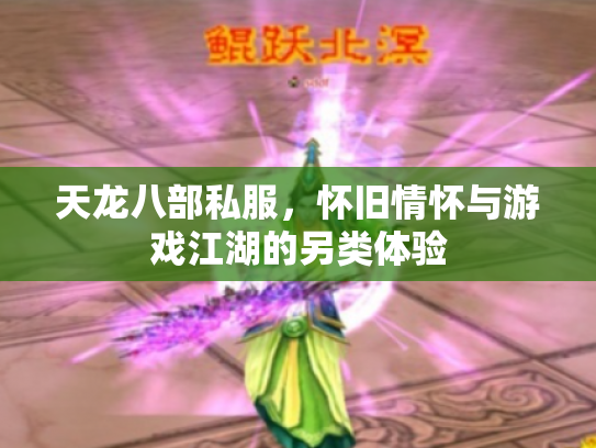 天龙八部私服，怀旧情怀与游戏江湖的另类体验