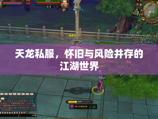 天龙私服，怀旧与风险并存的江湖世界