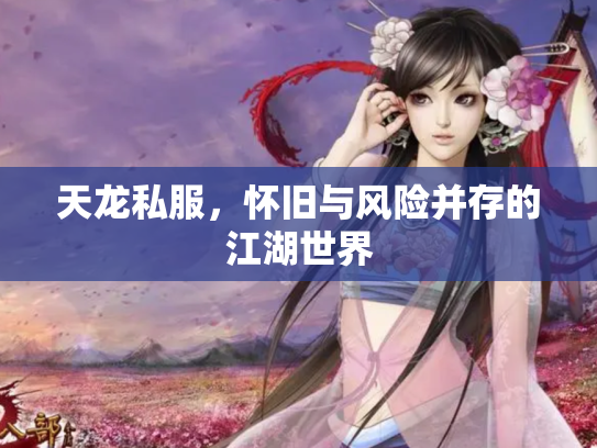 天龙私服，怀旧与风险并存的江湖世界