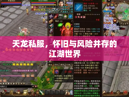 天龙私服，怀旧与风险并存的江湖世界