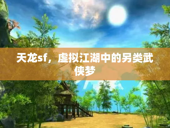 天龙sf，虚拟江湖中的另类武侠梦