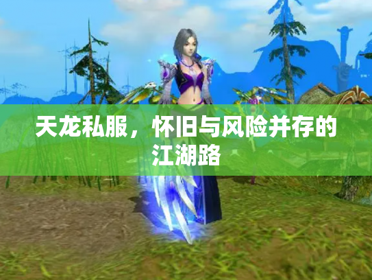 天龙私服，怀旧与风险并存的江湖路