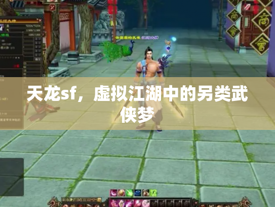 天龙sf，虚拟江湖中的另类武侠梦