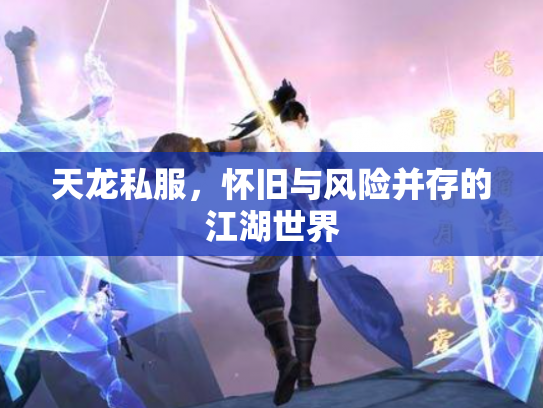 天龙私服，怀旧与风险并存的江湖世界