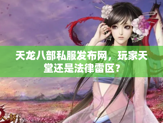 天龙八部私服发布网，玩家天堂还是法律雷区？