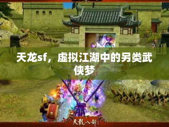 天龙sf，虚拟江湖中的另类武侠梦