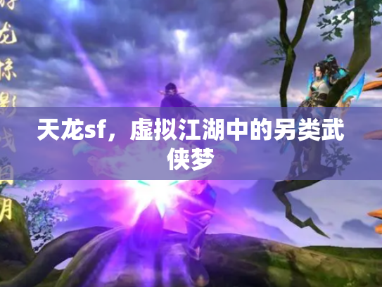 天龙sf，虚拟江湖中的另类武侠梦