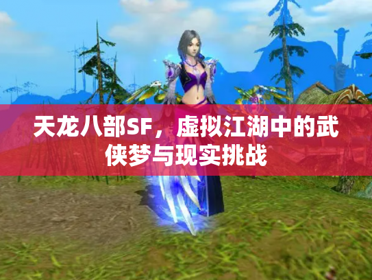 天龙八部SF，虚拟江湖中的武侠梦与现实挑战