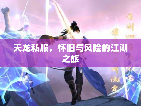 天龙私服，怀旧与风险的江湖之旅