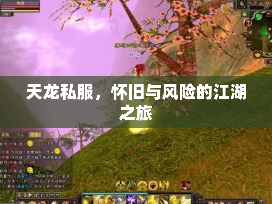 天龙私服，怀旧与风险的江湖之旅
