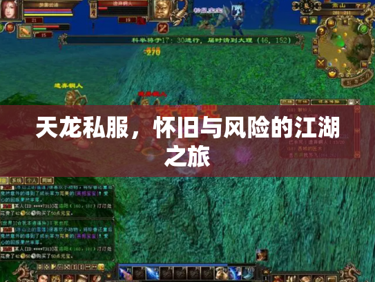 天龙私服，怀旧与风险的江湖之旅