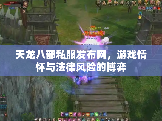 天龙八部私服发布网，游戏情怀与法律风险的博弈