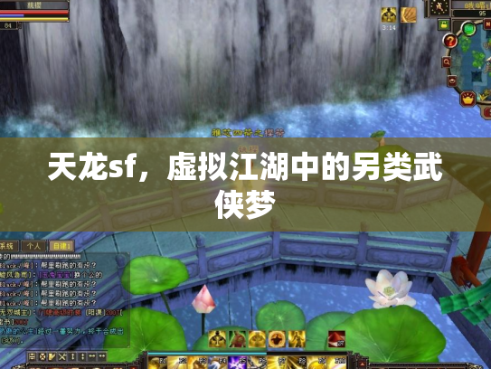 天龙sf，虚拟江湖中的另类武侠梦