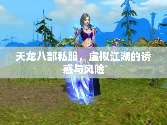 天龙八部私服，虚拟江湖的诱惑与风险