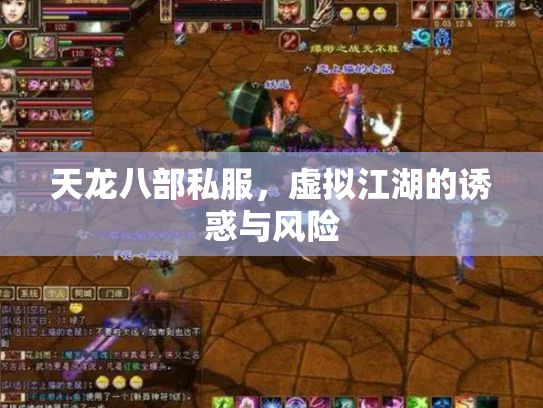 天龙八部私服，虚拟江湖的诱惑与风险