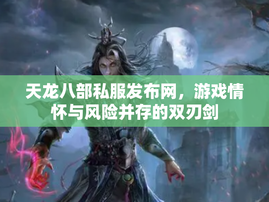 天龙八部私服发布网，游戏情怀与风险并存的双刃剑