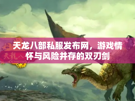 天龙八部私服发布网，游戏情怀与风险并存的双刃剑