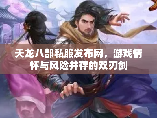 天龙八部私服发布网，游戏情怀与风险并存的双刃剑