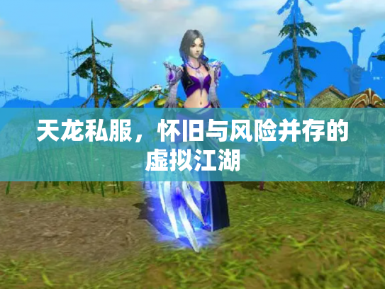 天龙私服，怀旧与风险并存的虚拟江湖