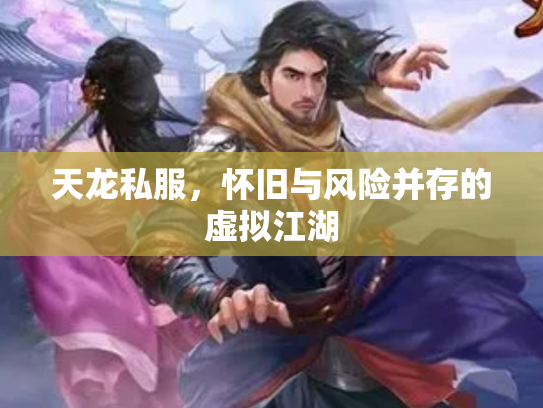 天龙私服，怀旧与风险并存的虚拟江湖