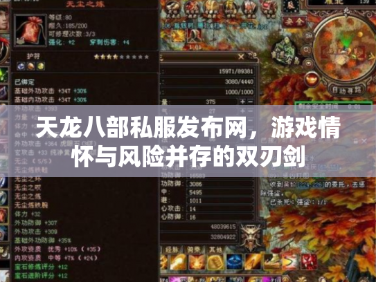 天龙八部私服发布网，游戏情怀与风险并存的双刃剑