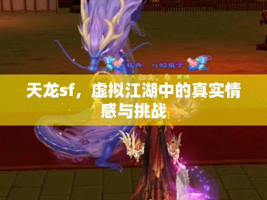 天龙sf，虚拟江湖中的真实情感与挑战