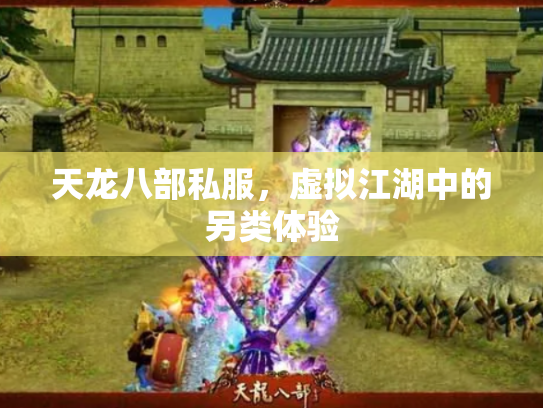 天龙八部私服，虚拟江湖中的另类体验