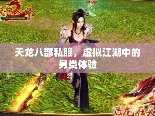 天龙八部私服，虚拟江湖中的另类体验
