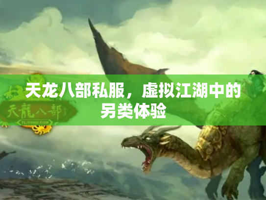 天龙八部私服，虚拟江湖中的另类体验
