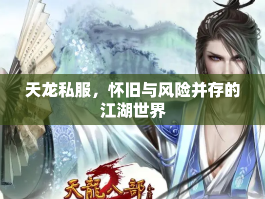 天龙私服，怀旧与风险并存的江湖世界