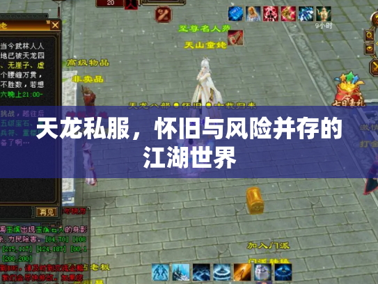 天龙私服，怀旧与风险并存的江湖世界