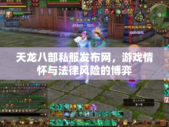 天龙八部私服发布网，游戏情怀与法律风险的博弈