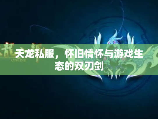 天龙私服，怀旧情怀与游戏生态的双刃剑
