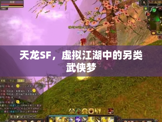 天龙SF，虚拟江湖中的另类武侠梦