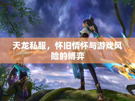 天龙私服，怀旧情怀与游戏风险的博弈