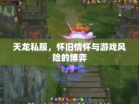 天龙私服，怀旧情怀与游戏风险的博弈