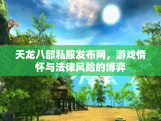天龙八部私服发布网，游戏情怀与法律风险的博弈