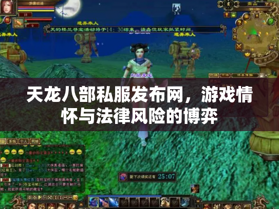 天龙八部私服发布网，游戏情怀与法律风险的博弈