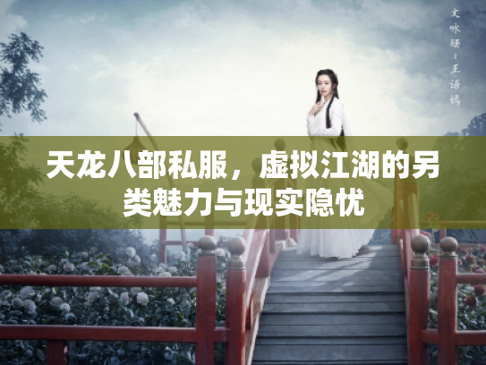 天龙八部私服，虚拟江湖的另类魅力与现实隐忧