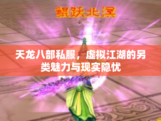 天龙八部私服，虚拟江湖的另类魅力与现实隐忧