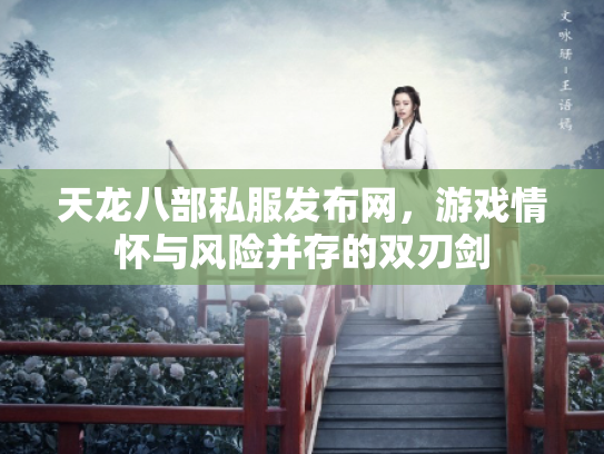 天龙八部私服发布网，游戏情怀与风险并存的双刃剑