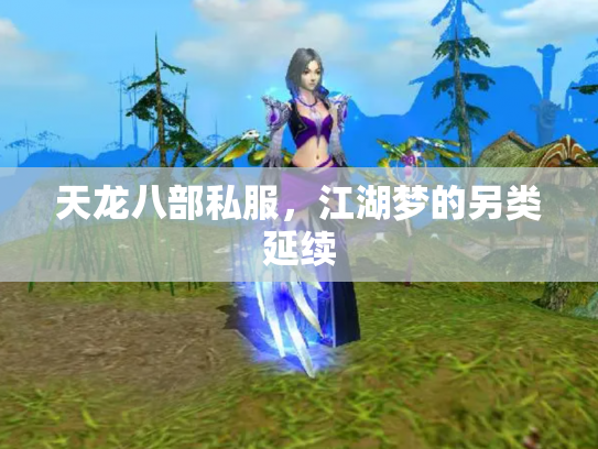 天龙八部私服，江湖梦的另类延续