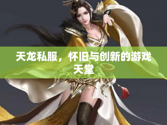 天龙私服，怀旧与创新的游戏天堂
