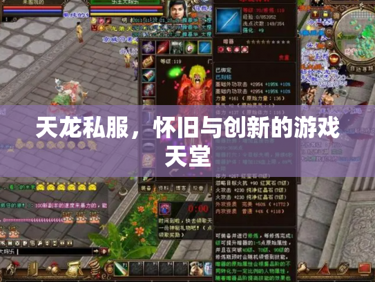 天龙私服，怀旧与创新的游戏天堂