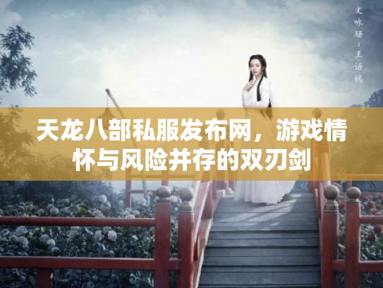天龙八部私服发布网，游戏情怀与风险并存的双刃剑